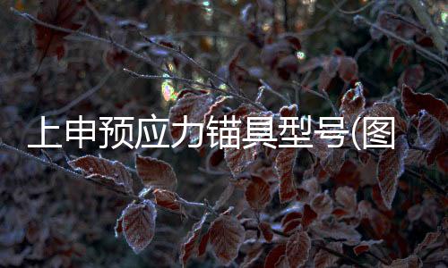 起重機支腿墊板定制廠家
