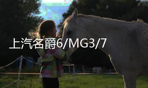 上汽名爵6/MG3/7名爵5原裝汽車(chē)電瓶名爵GS/HS/GT/3SW瓦爾塔蓄電池