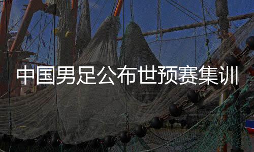 中國男足公布世預賽集訓名單：阿蘭回歸，張玉寧因傷缺席
