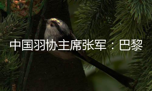 中國(guó)羽協(xié)主席張軍：巴黎奧運(yùn)會(huì)爭(zhēng)金奪銀更有信心