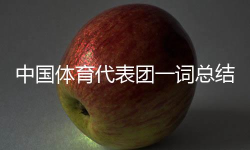 中國體育代表團(tuán)一詞總結(jié)中國隊巴黎奧運會表現(xiàn)：突破