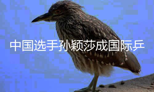 中國選手孫穎莎成國際乒聯(lián)現(xiàn)行世界排名積分破萬第一人
