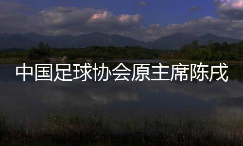 中國足球協(xié)會原主席陳戌源受賄一審被判無期徒刑