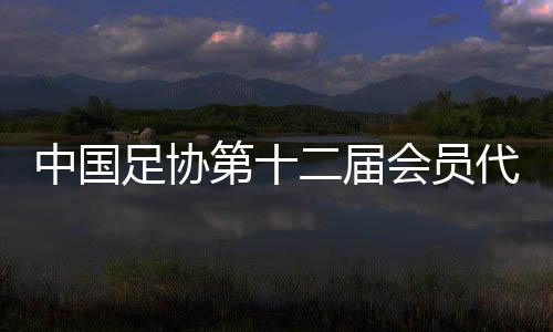 中國足協(xié)第十二屆會員代表大會第三次會議在京召開