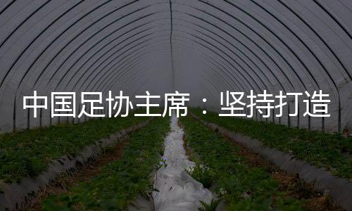 中國足協(xié)主席:堅持打造亞洲一流聯(lián)賽和百年俱樂部