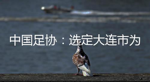中國足協(xié):選定大連市為中國隊世預(yù)賽9月份主場承辦城市