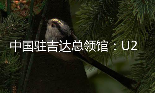 中國駐吉達(dá)總領(lǐng)館：U23亞洲杯決賽“中國人免票”為不實(shí)信息