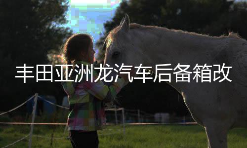 豐田亞洲龍汽車后備箱改裝專用隔板裝飾隔物板收納配件儲物箱整理