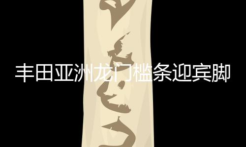 豐田亞洲龍門檻條迎賓腳踏板防踩保護(hù)貼車內(nèi)裝飾汽車用品配件改裝