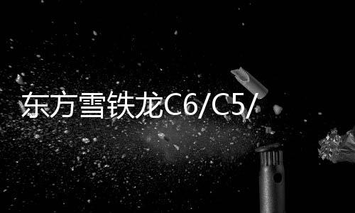 東方雪鐵龍C6/C5/C4L/C4世嘉/C3-XR賽納C2凱旋原裝蓄電池汽車電瓶