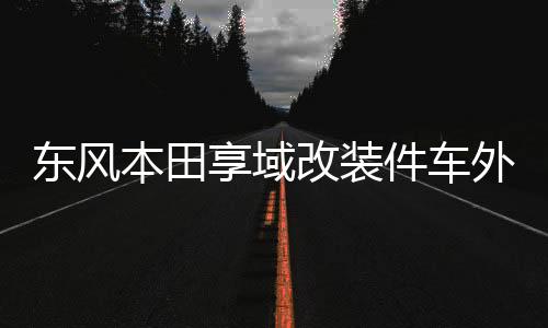 東風(fēng)本田享域改裝件車外觀專用金屬中網(wǎng)前臉亮條配件防蟲網(wǎng)裝飾條