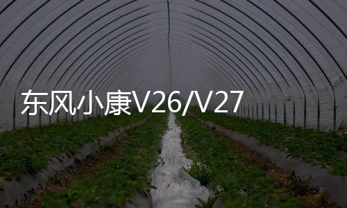 東風(fēng)小康V26/V27/V29/K05S長(zhǎng)安之星6363面包車(chē)45AH汽車(chē)電瓶蓄電池