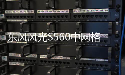 東風(fēng)風(fēng)光S560中網(wǎng)格柵改裝560前臉杠大包圍專用裝飾亮條用品配件