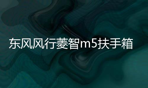 東風(fēng)風(fēng)行菱智m5扶手箱專用2021全車改裝V3/m5L免打孔車內(nèi)儲物配件