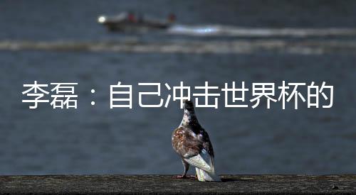 李磊：自己沖擊世界杯的最后一次機(jī)會(huì)，不留遺憾
