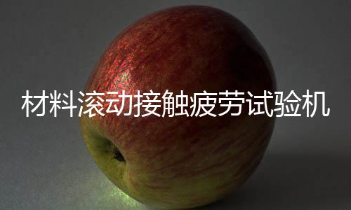 材料滾動接觸疲勞試驗機