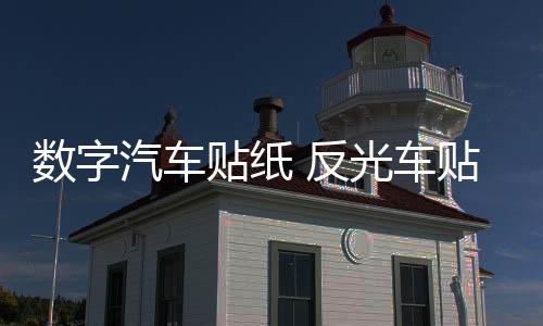數(shù)字汽車貼紙 反光車貼 側(cè)門貼車身貼改裝 個(gè)性定制數(shù)字可改