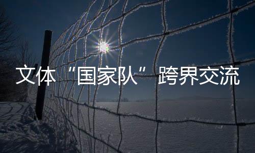 文體“國家隊”跨界交流——堅定文化自信 積蓄精神動能