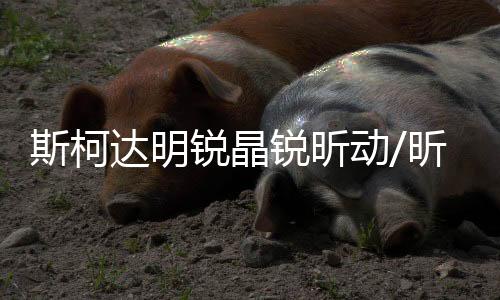 斯柯達(dá)明銳晶銳昕動(dòng)/昕銳/速派原裝60AH駱駝蓄電池L2-400汽車(chē)電瓶