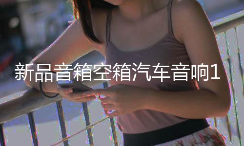 新品音箱空箱汽車音響10寸12寸15寸無源低音炮箱體優(yōu)質(zhì)高檔皮木箱