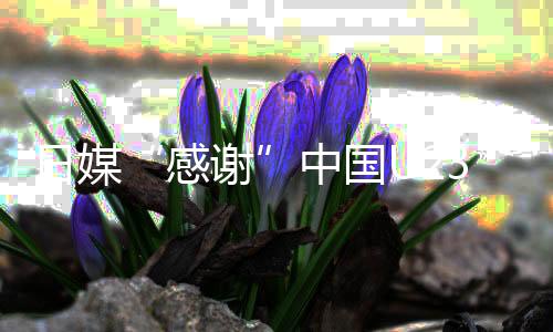 日媒“感謝”中國U23男足 批己方球員傷人動(dòng)作“丟臉”