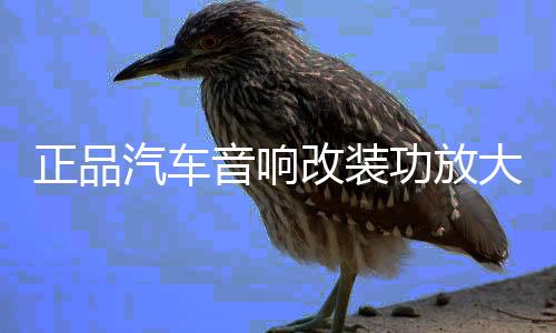 正品汽車音響改裝功放大功率4路車載功放 HIFI音質(zhì)四聲道618功放