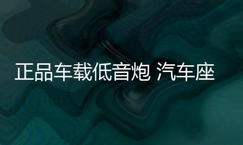 正品車載低音炮 汽車座椅音響12v有源專用超薄超重低音炮車改裝