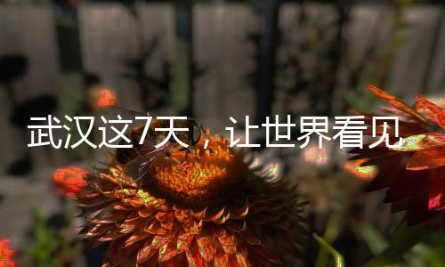 武漢這7天,讓世界看見“無畏金蘭”