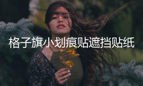 格子旗小劃痕貼遮擋貼紙個性車貼 汽車?yán)?前保險杠貼火焰圖騰