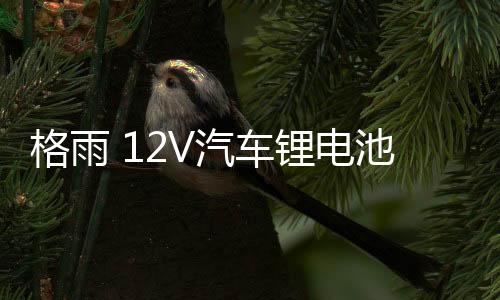 格雨 12V汽車鋰電池 80D26LR S95 100AH大容量磷酸鐵鋰電瓶漢蘭達(dá)
