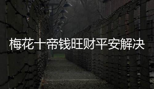 梅花十帝錢(qián)旺財(cái)平安解決橫梁門(mén)對(duì)門(mén)對(duì)陽(yáng)臺(tái)窗戶家用汽車(chē)中國(guó)結(jié)掛件