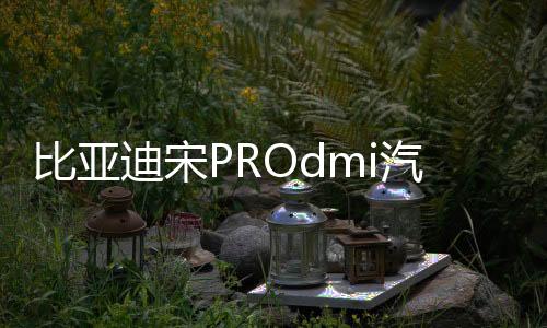 比亞迪宋PROdmi汽車專用隔板裝飾隔物板收納配件儲物尾箱