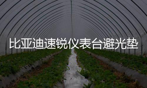 比亞迪速銳儀表臺(tái)避光墊汽車內(nèi)飾裝飾用品配件中控臺(tái)改裝防曬墊