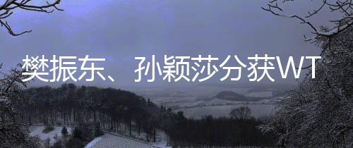 樊振東、孫穎莎分獲WTT重慶冠軍賽男女單打冠軍