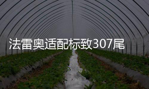法雷奧適配標致307尾燈總成 小嘴三廂尾燈罩汽車后尾燈 正品配件