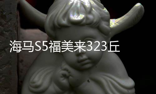 海馬S5福美來(lái)323丘比特騎士海福星普力馬M3瓦爾塔蓄電池汽車電瓶