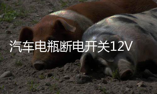 汽車電瓶斷電開關(guān)12V防虧電漏電保護器智能藍(lán)牙遙控純銅實時監(jiān)控