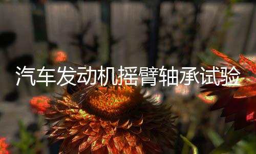 汽車發(fā)動(dòng)機(jī)搖臂軸承試驗(yàn)機(jī)