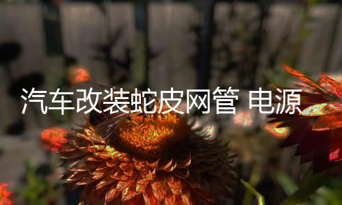 汽車改裝蛇皮網(wǎng)管 電源線套管 編織管 線材保護(hù)網(wǎng)管音響線外網(wǎng)