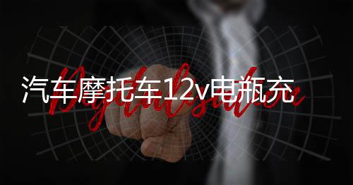 汽車摩托車12v電瓶充電器家用小轎車蓄電池地?cái)側(cè)f能沖快速通用型