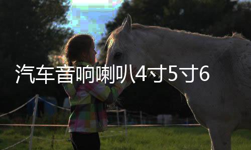 汽車音響喇叭4寸5寸6寸6.5寸同軸汽車?yán)雀难b全頻中重低音喇叭