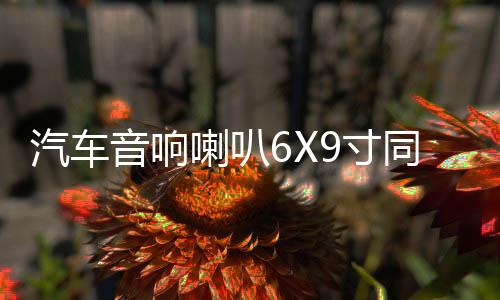 汽車音響喇叭6X9寸同軸全頻車門揚(yáng)聲器后備箱尾改裝套裝6*9重低音