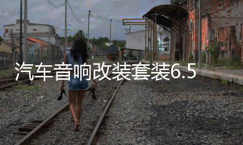 汽車音響改裝套裝6.5寸喇叭前門高中低音套裝喇叭6.5寸12v通用