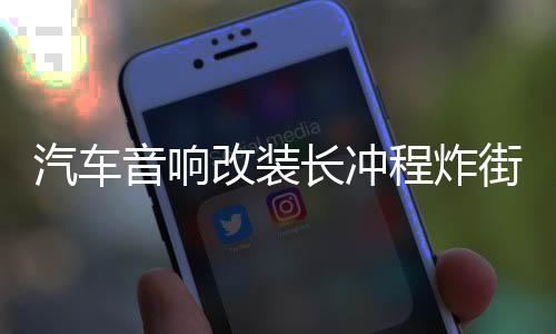汽車音響改裝長(zhǎng)沖程炸街碎碟10寸12寸雙音圈雙磁超重純低音炮喇叭