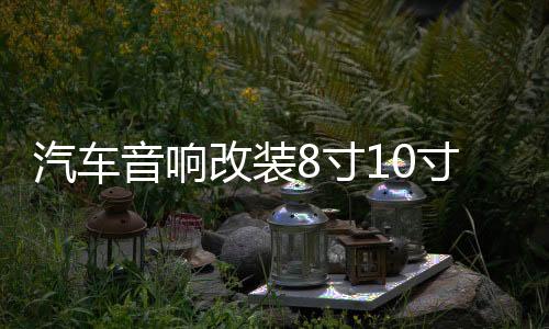 汽車音響改裝8寸10寸12寸車載無源低音炮雙音圈重低音純低音喇叭