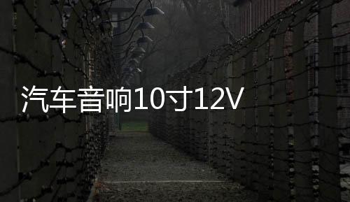 汽車音響10寸12V 有源低音炮車載低音炮汽車超薄低音炮重低音喇叭