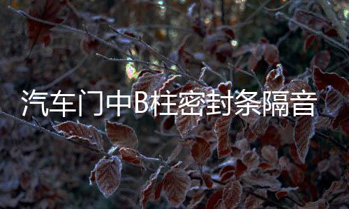 汽車(chē)門(mén)中B柱密封條隔音降噪橡膠條卡槽縫隙條防水通用加改裝配件