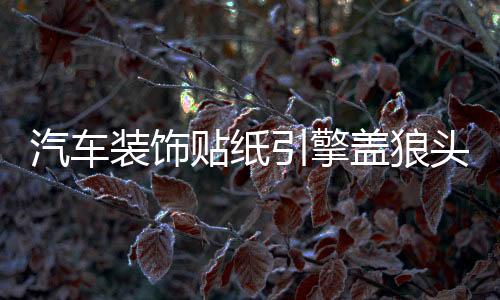 汽車裝飾貼紙引擎蓋狼頭機(jī)蓋貼車頭蓋貼 紙改裝貼個(gè)性車貼