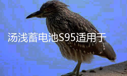 湯淺蓄電池S95適用于16款?yuàn)W德賽艾力紳漢蘭達(dá)凱美瑞原裝啟停電瓶