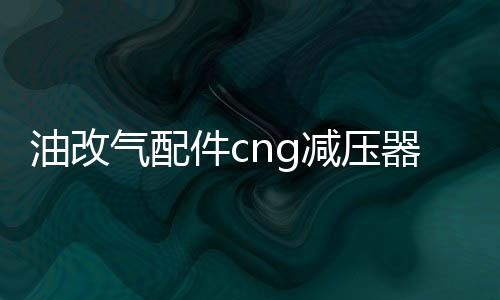 油改氣配件cng減壓器單點減壓閥洛瓦托減壓器汽車天然氣配件改裝